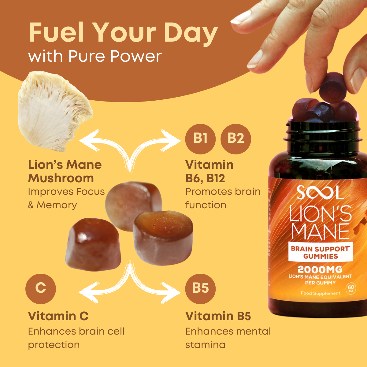 Sool Lion`s Mane Brain Support Gummies Benefits